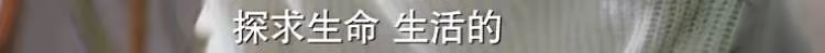 馬伊琍文章宣布離婚：人生開始下半場 情感 第15張