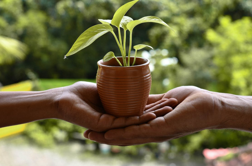 医用制氧机低氧怎么处理家里需要买制氧机应对新冠吗_https://www.jmylbn.com_新闻资讯_第4张