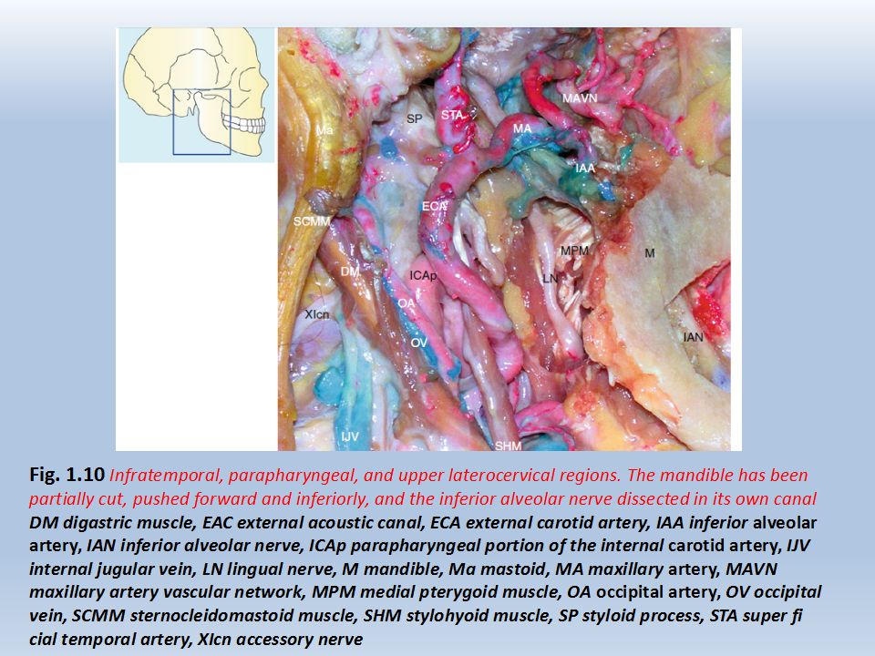 rhoton教授在其jugular foramen章节,曾对颈静脉孔区手术入路进行非常