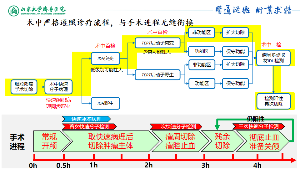 基因检测什么叫野生型_基因检测全是野生型好是不好_基因检测野生型什么意思
