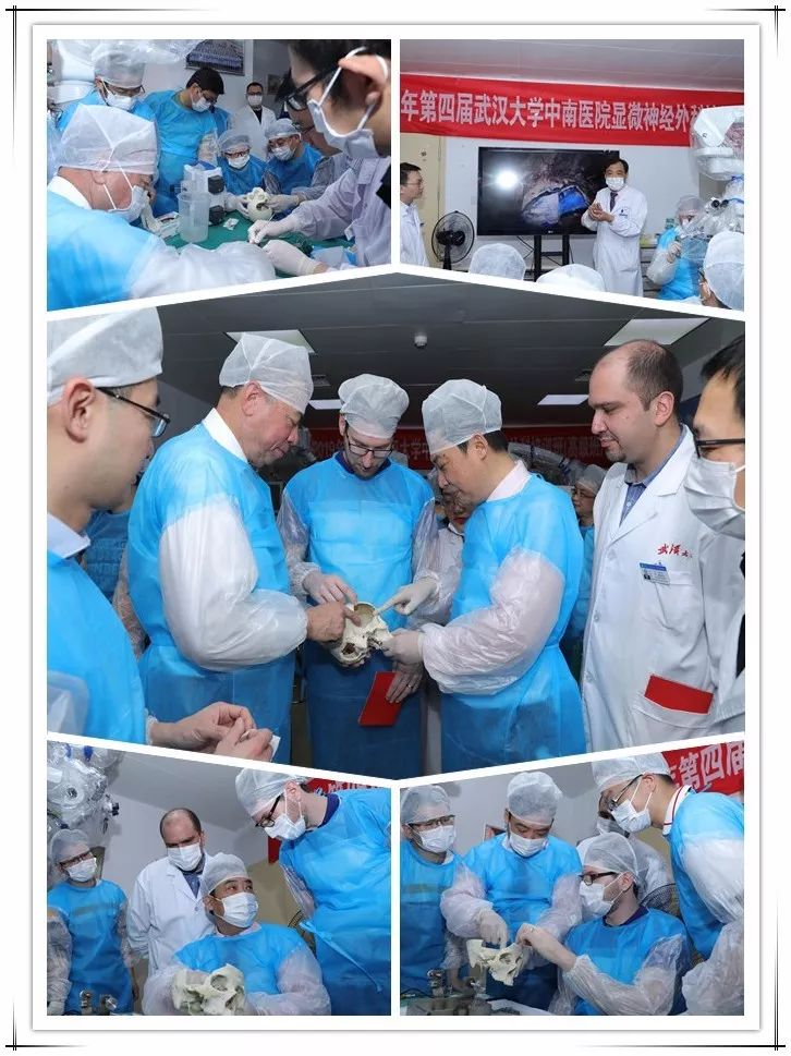 蛇牌学院是什么强强联合，共创辉煌！武汉大学中南医院-蛇牌学院（中国）华中地区神经外科培训中心顺利揭牌！_https://www.jmylbn.com_新闻资讯_第6张