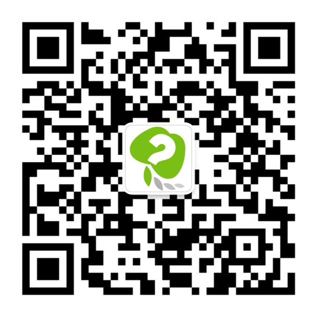 比特币现金和比特币区别_比特币区块和比特币的区别_比特币文本