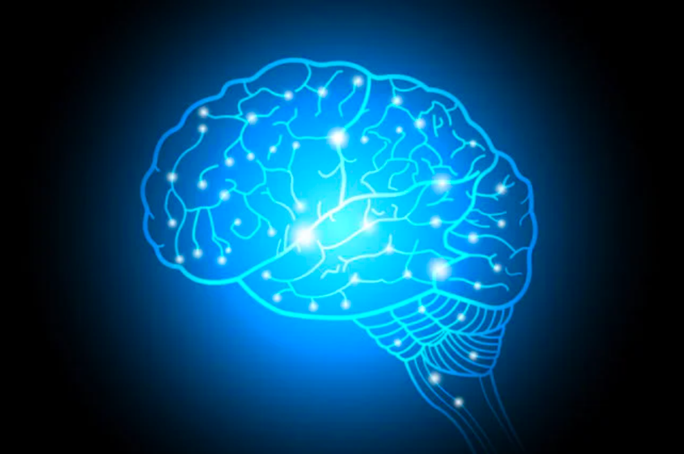 自适应伊辛模型，解释大脑中雪崩和振荡如何在临界点共存