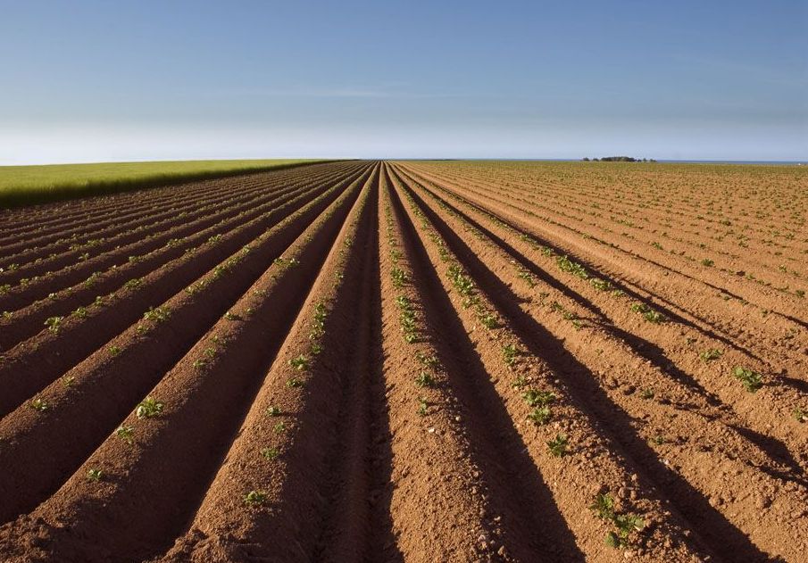土壤的功能_新疆维吾尔自治区塔城地区额敏县额敏镇