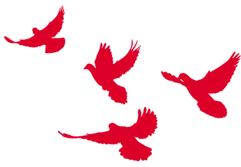 微信图片_20190626091850.png