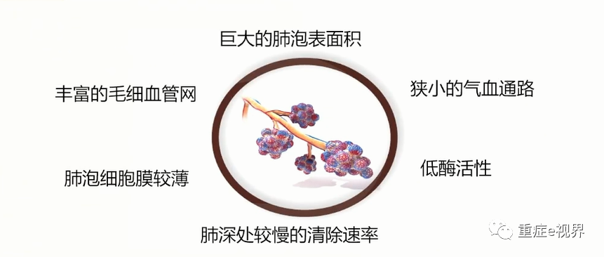 有创呼吸机怎么做雾化气道雾化吸入疗法需要关注的问题_https://www.jmylbn.com_新闻资讯_第3张