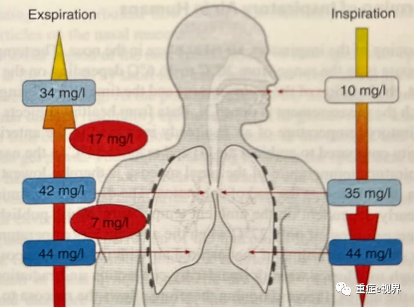 为什么要用湿化器无创辅助通气：湿化效果如何保证_https://www.jmylbn.com_新闻资讯_第10张