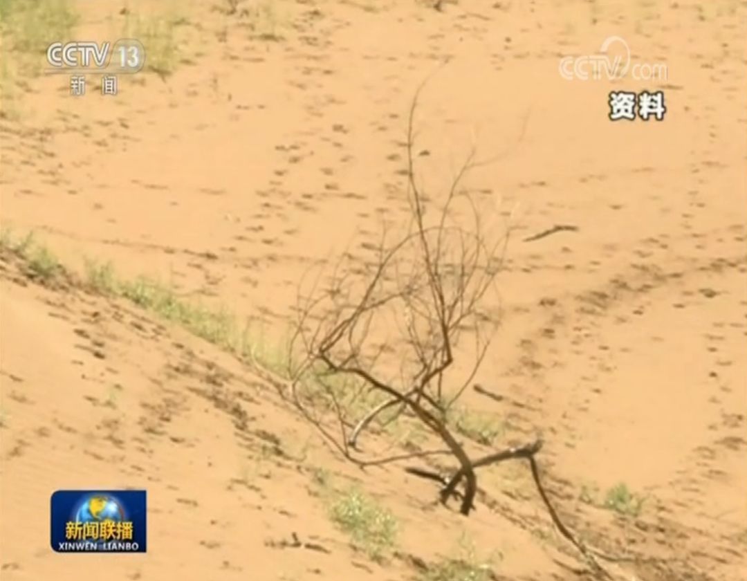 前天新闻联播中令人震撼的一幕…