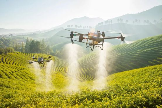 服务涵盖昆明无人机培训、昆明保安服务、昆明物业服务、昆明宠物医疗美容、昆明职业技能培训服务、昆明广告策划、昆明安防监控。