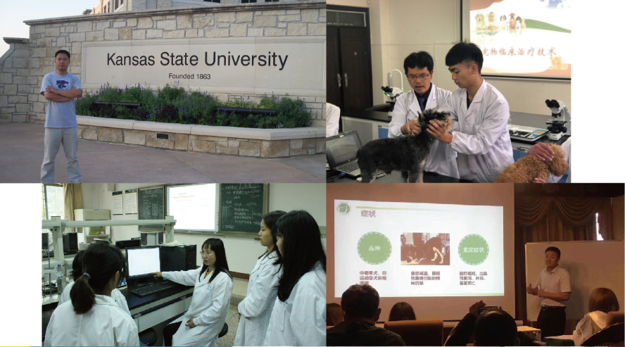 服务涵盖昆明无人机培训、昆明保安服务、昆明物业服务、昆明宠物医疗美容、昆明职业技能培训服务、昆明广告策划、昆明安防监控。