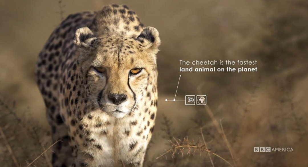 最高9.8分,零差评,这五部神作值得一看