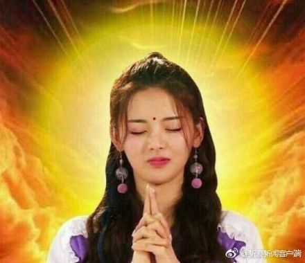 张杰鸟巢演唱会为啥能承包热搜？