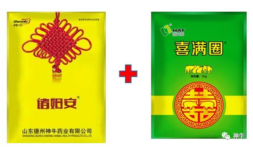 母猪怀孕40天内,做这些会造成少产、流产