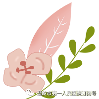 花朵.png 图片
