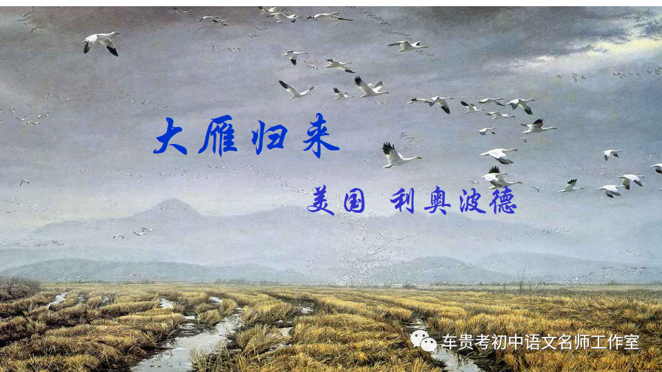 大雁归来开头以什么来衬托大雁的什么,八年级语文下册《大雁归来 》知识点归纳 延伸阅..
