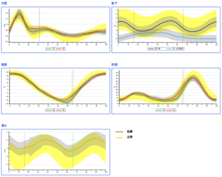 步态分析上曲线怎么解读青少年脊柱侧凸保守矫形康复评估体系—步态分析_https://www.jmylbn.com_新闻资讯_第21张
