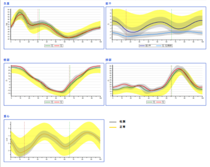 步态分析上曲线怎么解读青少年脊柱侧凸保守矫形康复评估体系—步态分析_https://www.jmylbn.com_新闻资讯_第4张