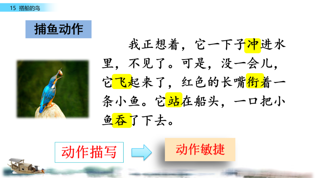 搭船的鸟原文内容_搭船的鸟课文原文_搭鸟的船