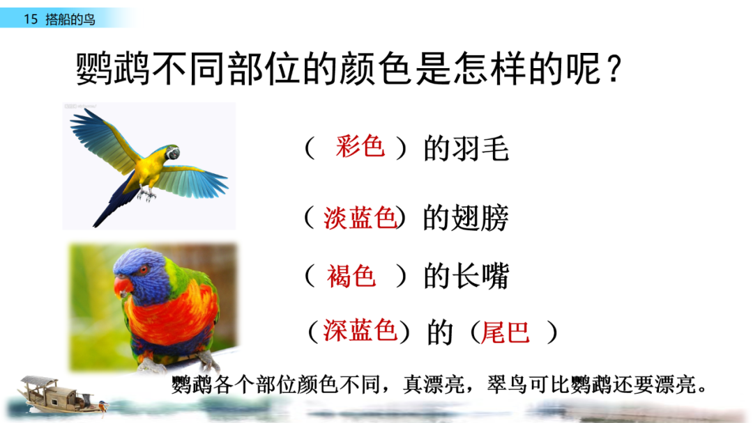 搭船的鸟原文内容_搭鸟的船_搭船的鸟课文原文