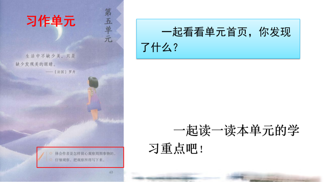 搭船的鸟课文原文 《搭船的鸟》课文原文+课件+同步练习