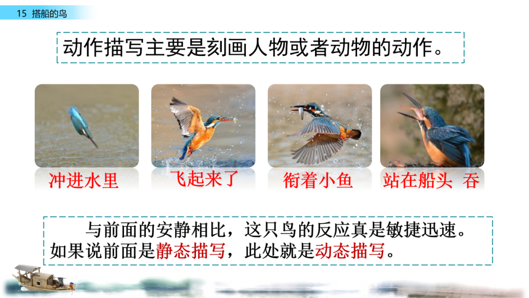 搭船的鸟原文内容_搭鸟的船_搭船的鸟课文原文