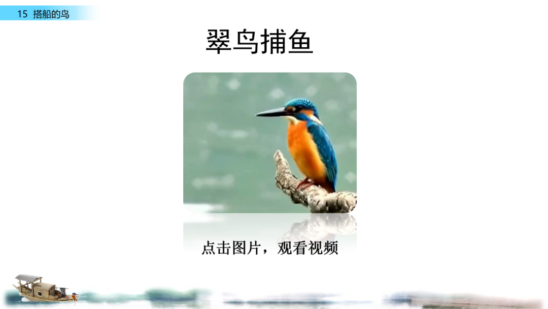 搭鸟的船_搭船的鸟原文内容_搭船的鸟课文原文