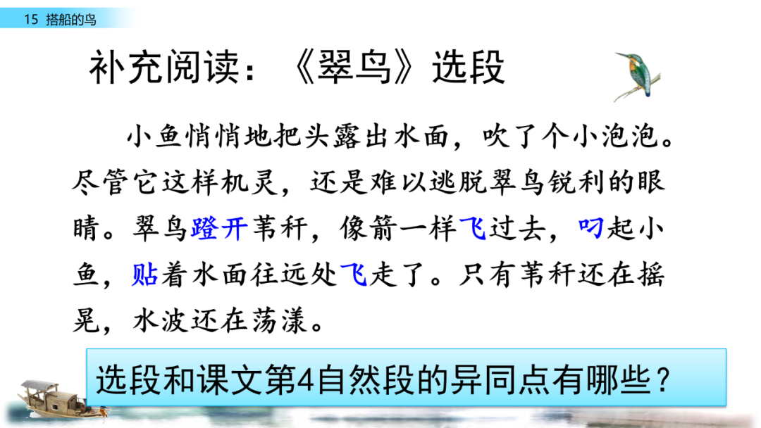 搭船的鸟原文内容_搭船的鸟课文原文_搭鸟的船