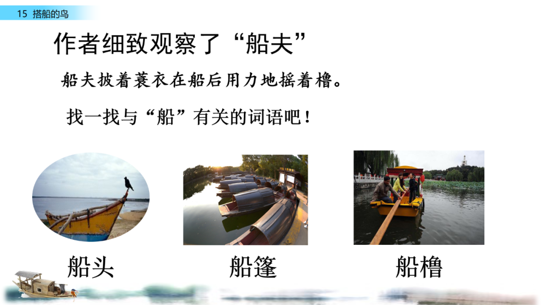 搭船的鸟课文原文_搭鸟的船_搭船的鸟原文内容