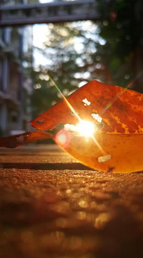 什么是裂隙灯【眼科检查】裂隙灯显微镜检查是什么？_https://www.jmylbn.com_新闻资讯_第5张