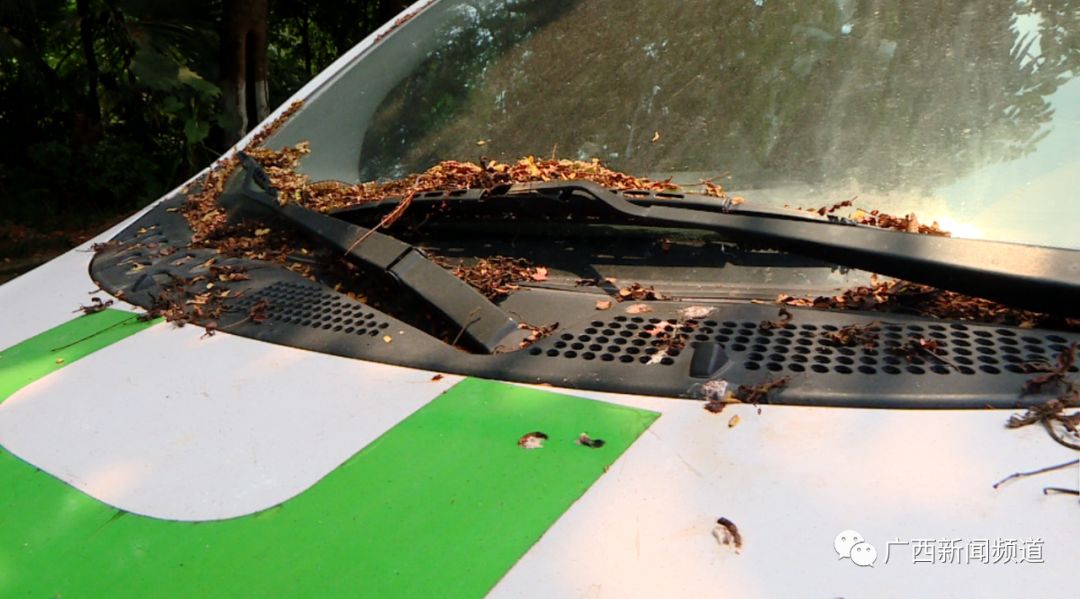 共享汽车“坟场”？大量闲置占用停车位 方便吗？