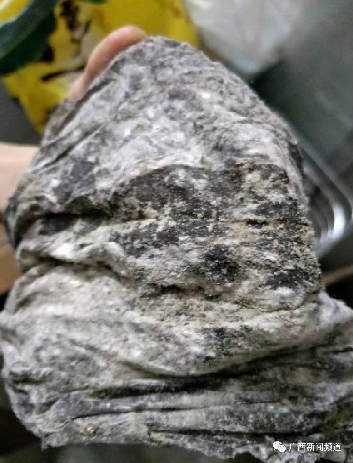 发霉的萝卜海带,长毛的腐竹,南宁一幼儿园厨房里发现这些东西,家长们