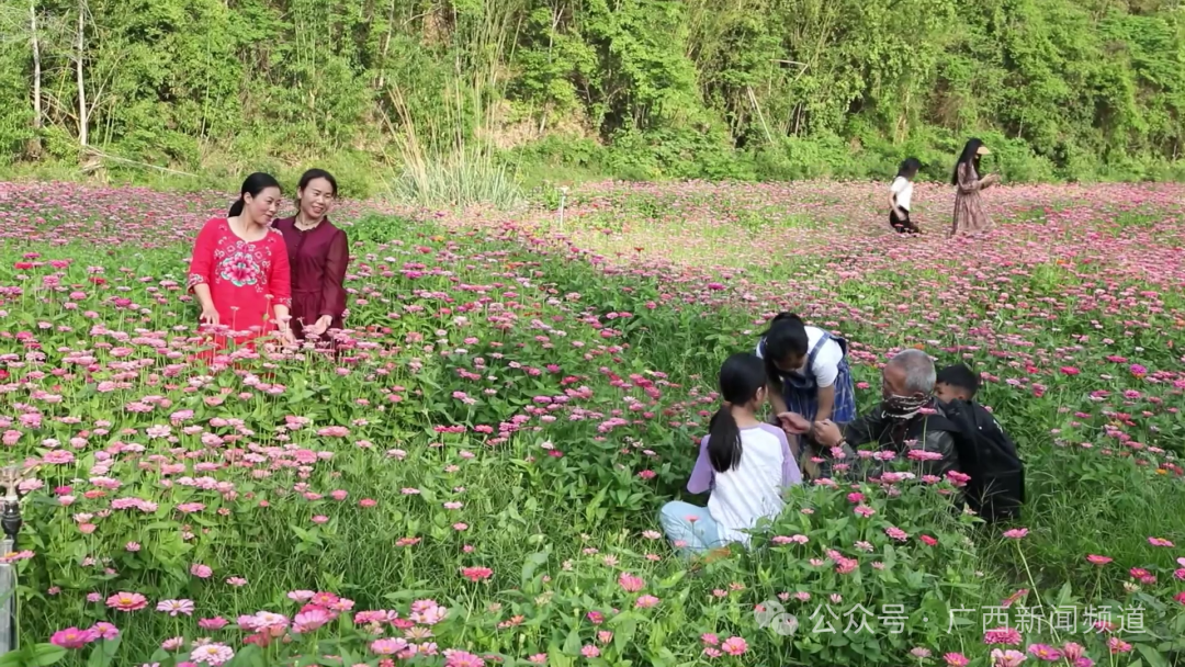 广西新闻频道