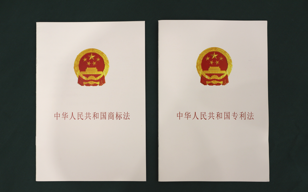 培训班上,授课老师围绕《商标法》《专利法》《民法典》等相关法律