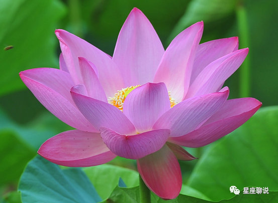 12月25日开始 4属相运势上涨 事业蒸蒸日上 家庭和睦美满 热点讯息网