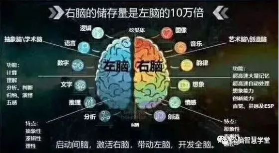 左脑型or右脑型？未来成就大不同！