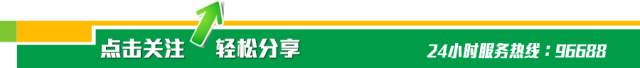 致富农村养殖项目_致富农村养殖_农村致富经