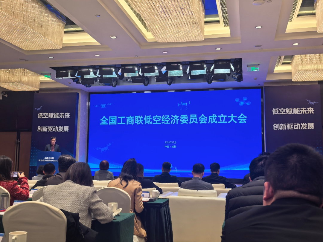 低空经济委员会委员1.png
