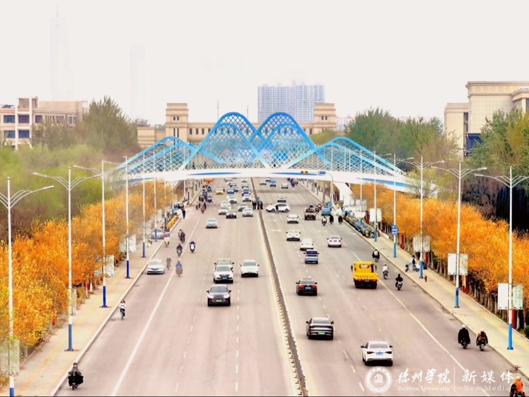 德州学院2024年普通高等教育招生章程