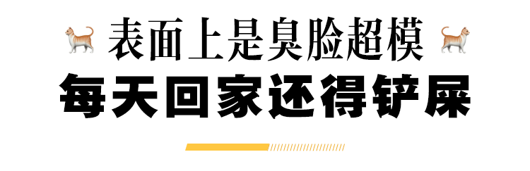 他簡直是直男社交網路形象的典範 家居 第15張