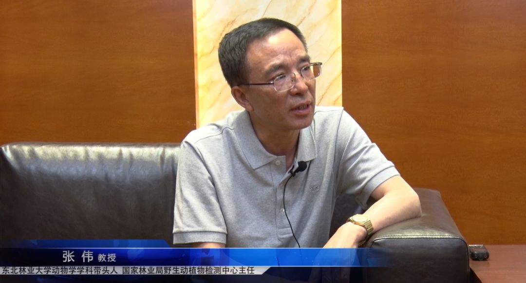 首页 新闻资讯 行业动态 03 正文 受peta极端动保的刻意诽谤与打击