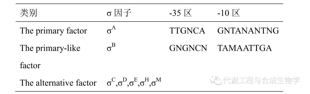 谷氨酸棒状杆菌中&sigma;因子
