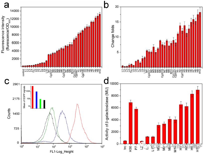 启动子的表达强度