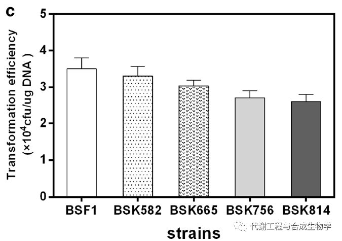随着基因简化的程度增大，转化效率逐渐降低