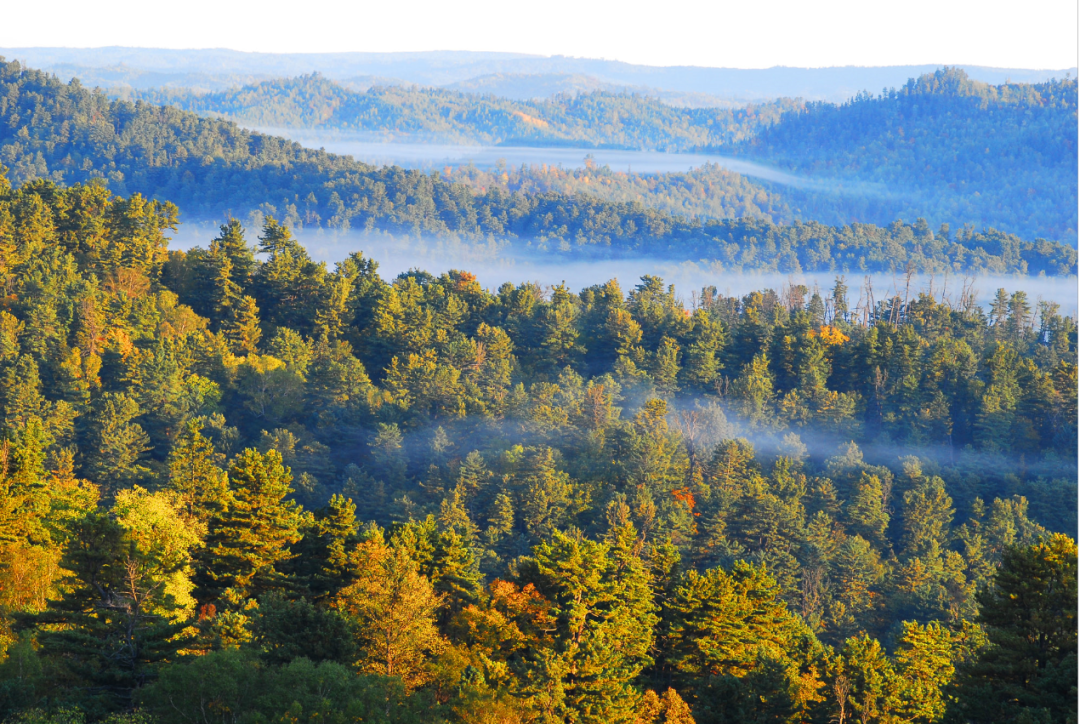 忽然,想去小兴安岭看雪~-友友