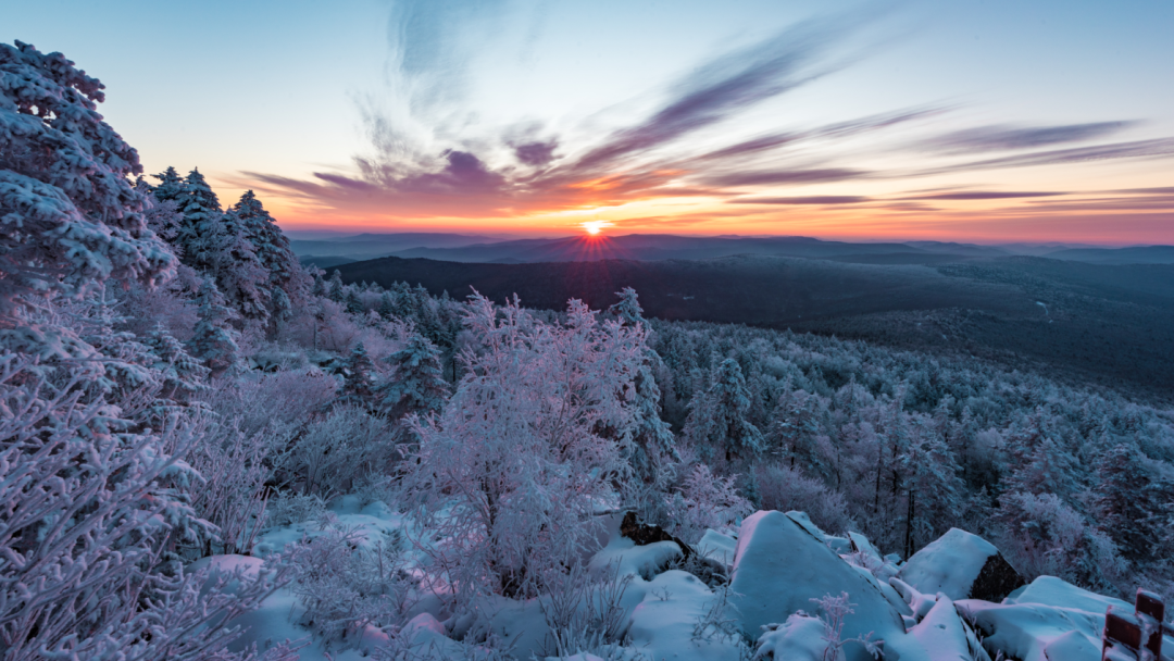 忽然,想去小兴安岭看雪~-友友