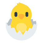 碰撞的小鸡滚滚