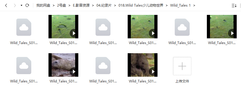 免费资源：【BBC儿童纪录片合集】少儿动物世界Wild Tales全四季共20集（英文解说+英文字幕）