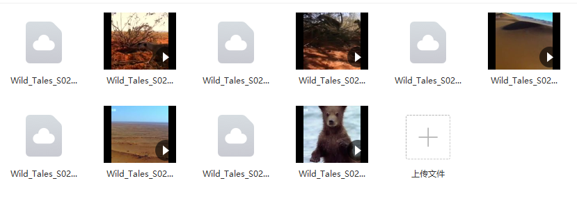 免费资源：【BBC儿童纪录片合集】少儿动物世界Wild Tales全四季共20集（英文解说+英文字幕）