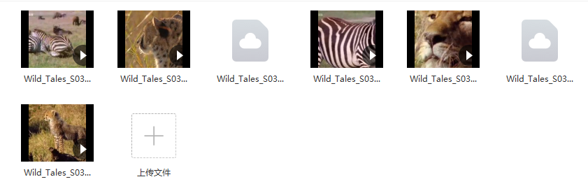 免费资源：【BBC儿童纪录片合集】少儿动物世界Wild Tales全四季共20集（英文解说+英文字幕）