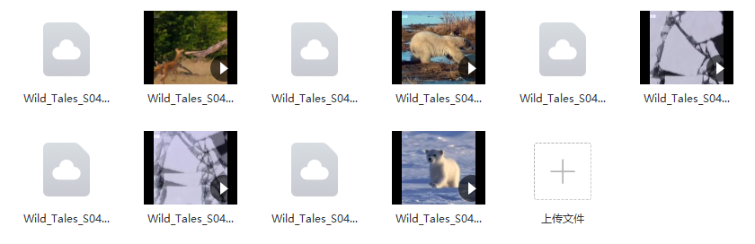 免费资源：【BBC儿童纪录片合集】少儿动物世界Wild Tales全四季共20集（英文解说+英文字幕）